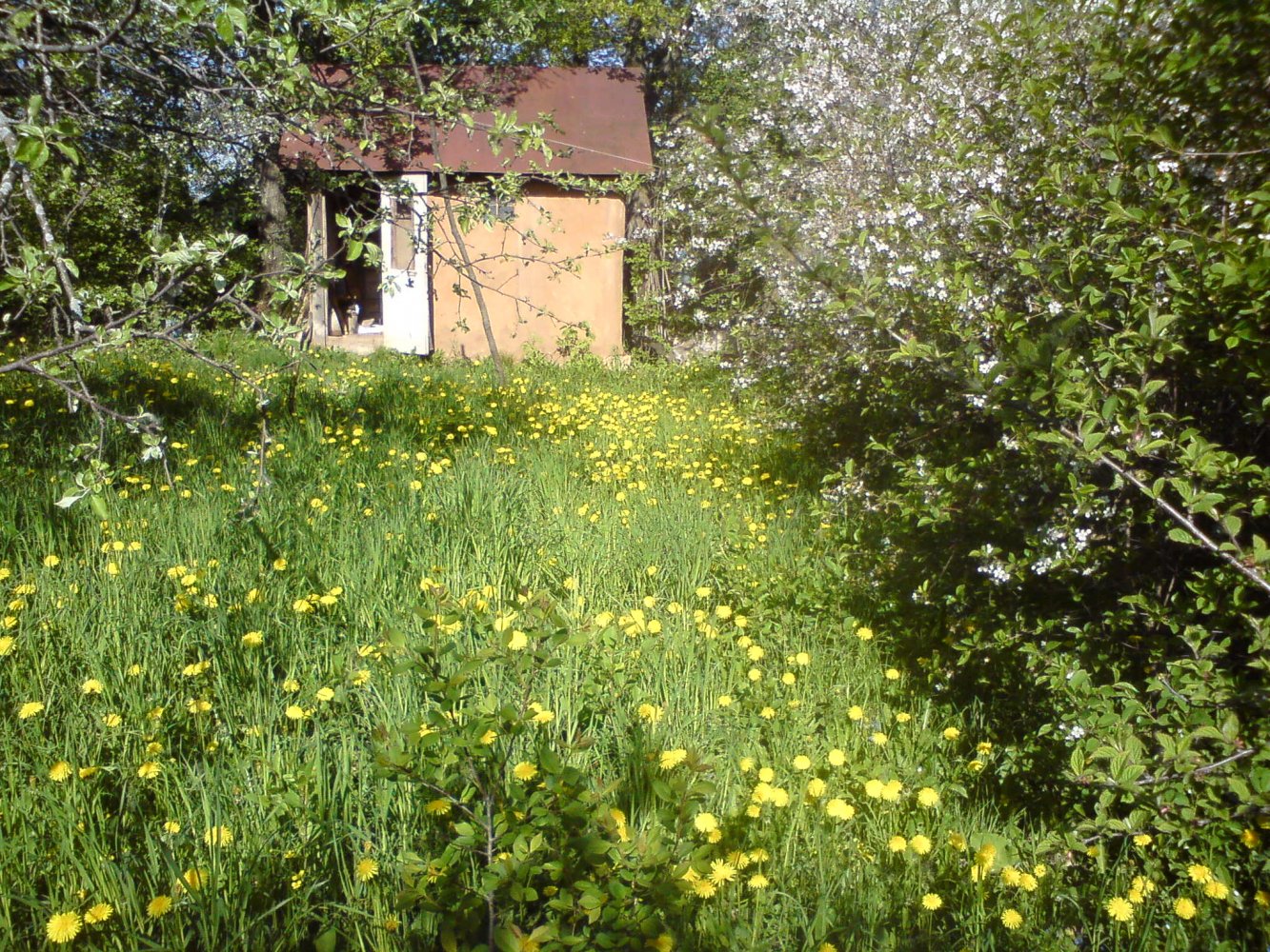 ���� DSC01652.JPG. ������, ���������� �������, ��������, Unnamed Road