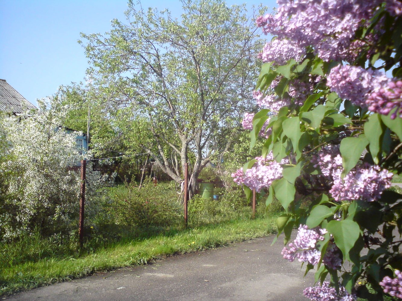 ���� DSC01664.JPG. ������, ���������� �������, ��������, Unnamed Road