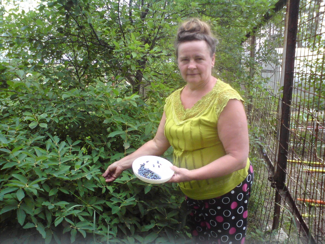 ���� DSC01727.JPG. ������, ���������� �������, ��������, Unnamed Road