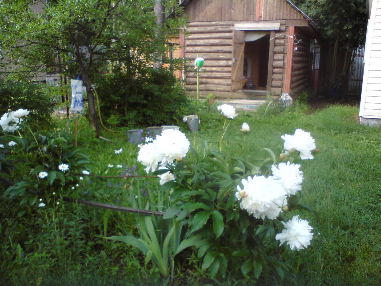 ���� DSC01736.JPG. ������, ���������� �������, ��������, Unnamed Road