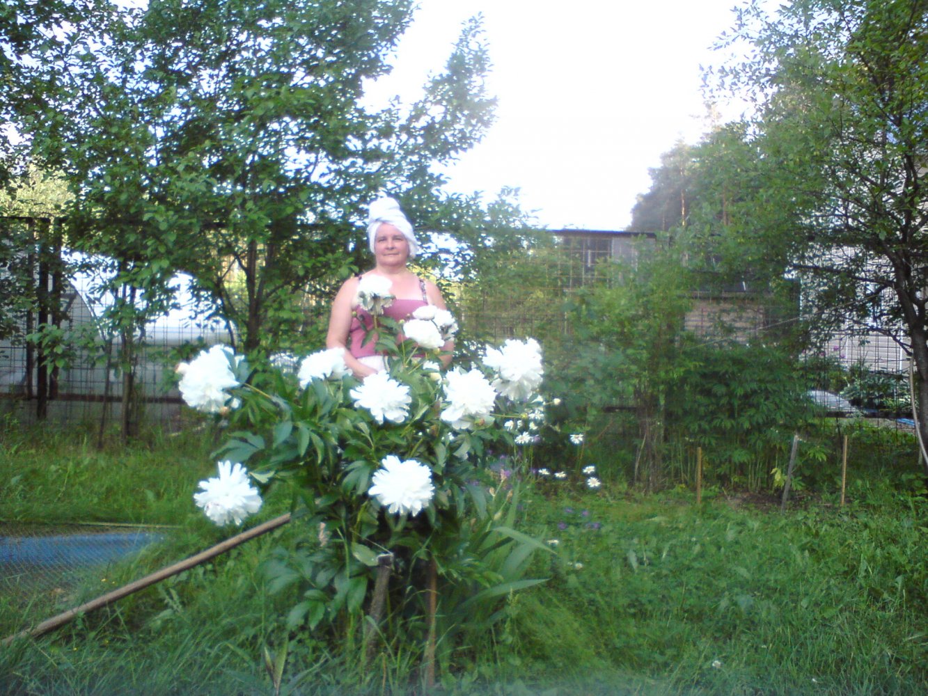 ���� DSC01748.JPG. ������, ���������� �������, ��������, Unnamed Road