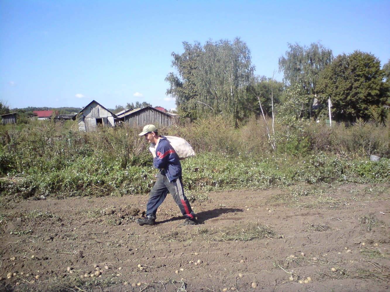 ���� DSC01915.JPG. ������, ���������� �������, ��������, Unnamed Road