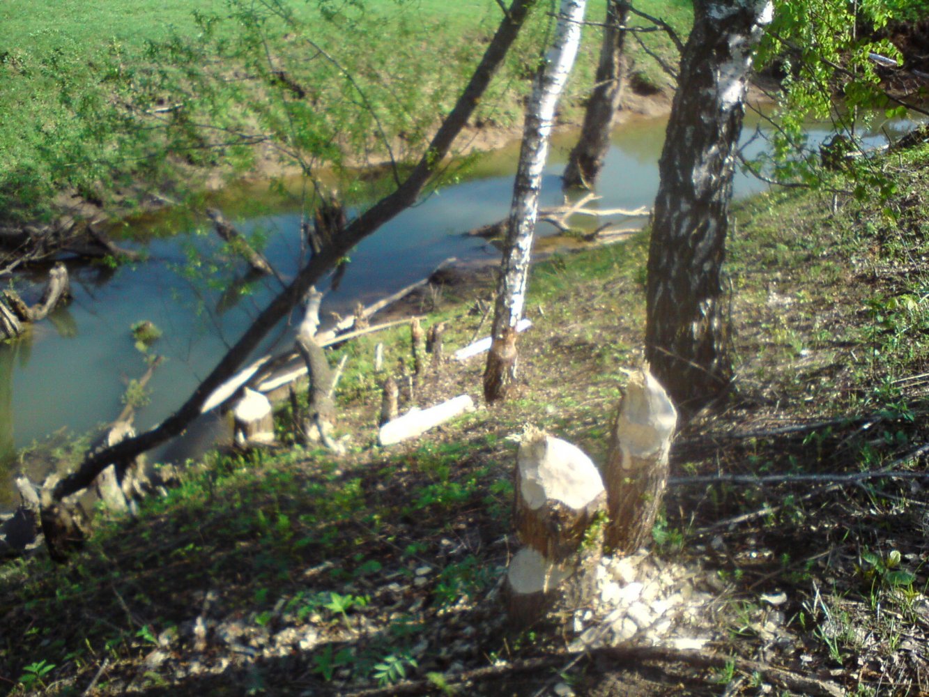 ���� DSC02396.JPG. ������, ���������� �������, ��������, Unnamed Road