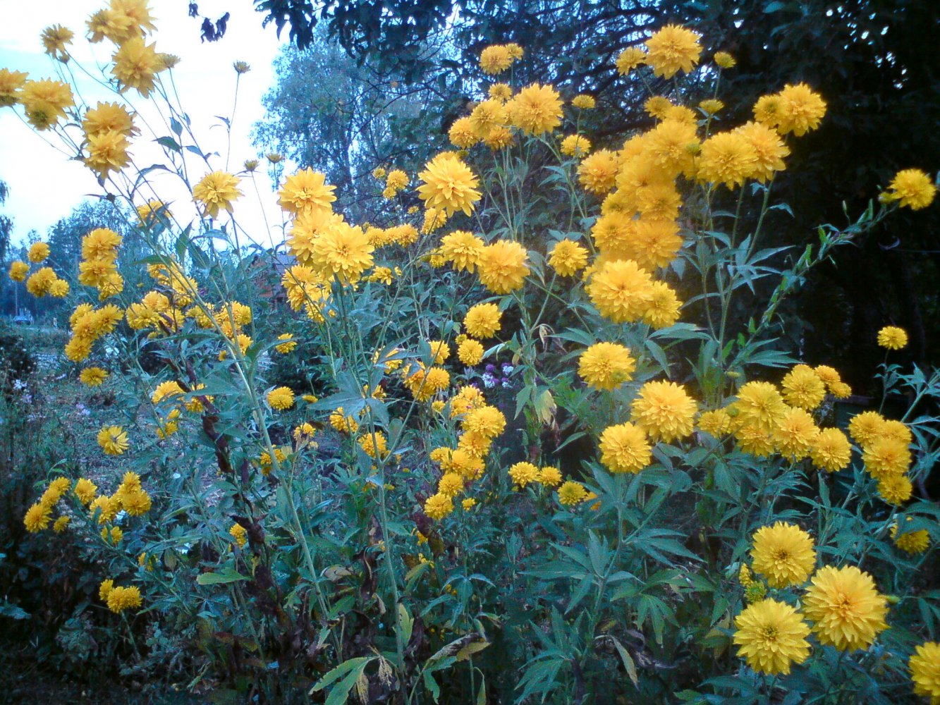 ���� DSC02807.JPG. ������, ���������� �������, ��������, Unnamed Road