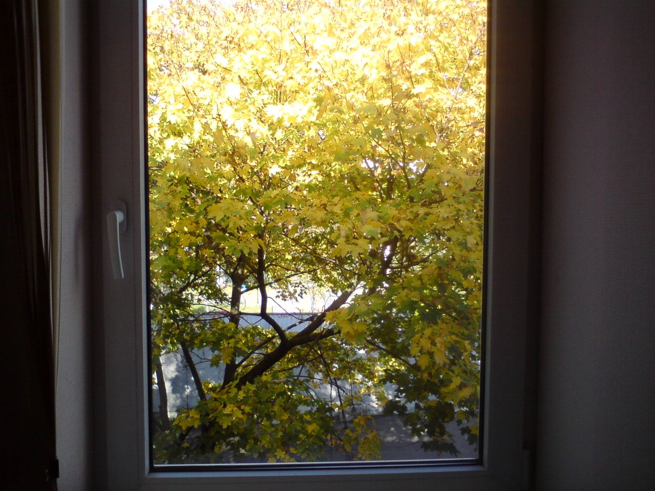 ���� DSC01193.JPG. ������, ���������� �������, ��������, Unnamed Road