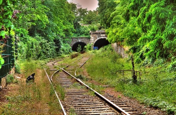  Chemin de fer de Petite Ceinture. , Ile-de-France, Paris, Avenue Reille, 44