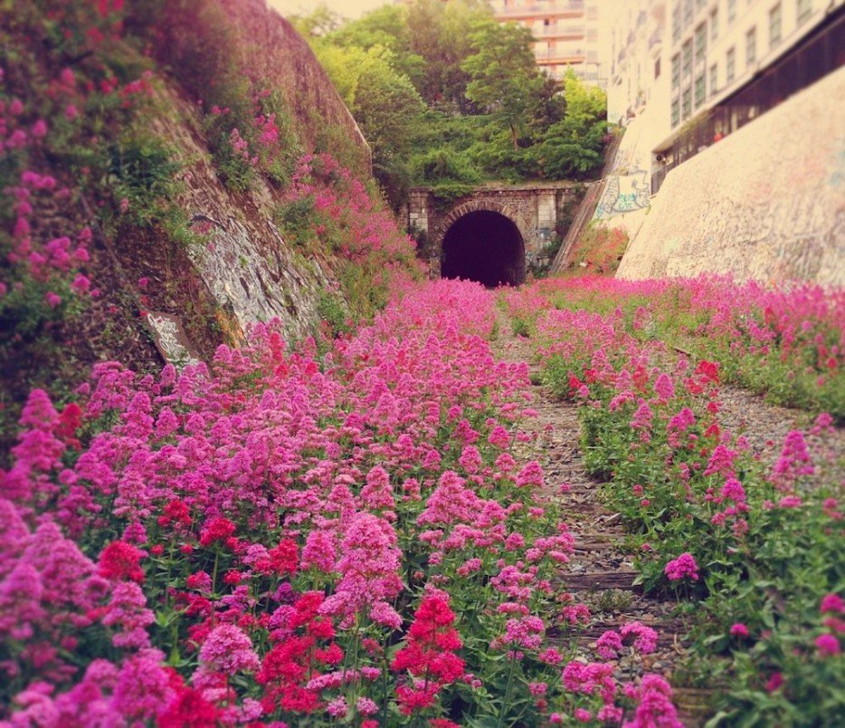  Chemin de fer de Petite Ceinture. , Ile-de-France, Paris, Avenue Reille, 44