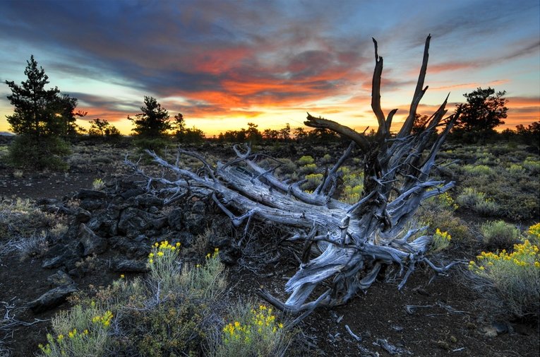   .   , Idaho, Laid Law Park Road