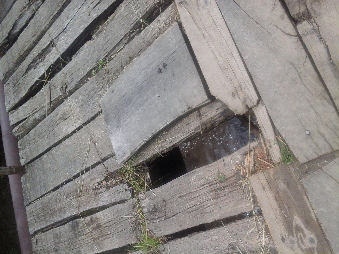 ���� 20150626_123610.jpg. ������, ������������� ����, ������������, Unnamed Road