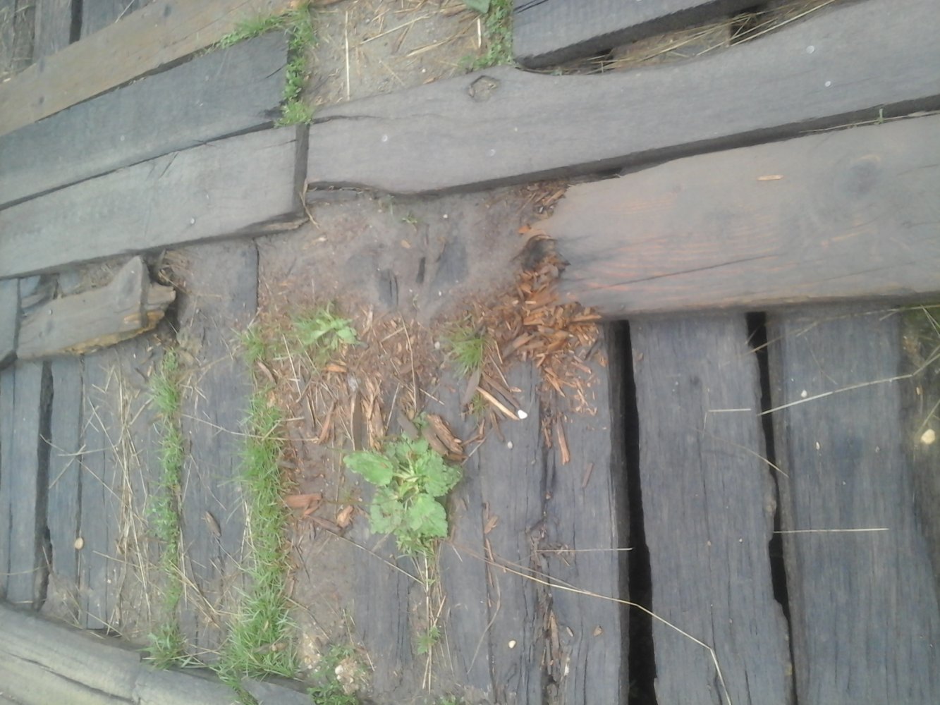 ���� 20150627_174905.jpg. ������, ������������� ����, ������������, Unnamed Road