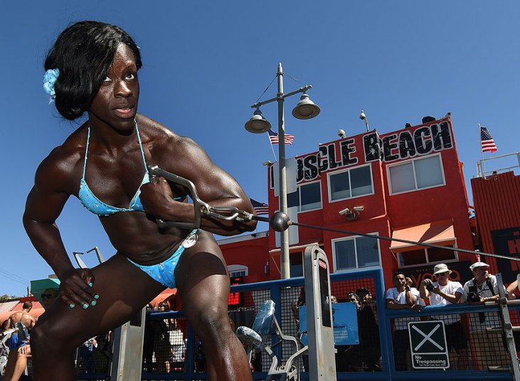     Muscle Beach Championship.   , California, Los Angeles, Ocean Front Walk, 1800