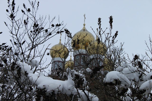 ���� ���� � ���� ������.. ������, �������� �������, �����, ������������� �����, 2