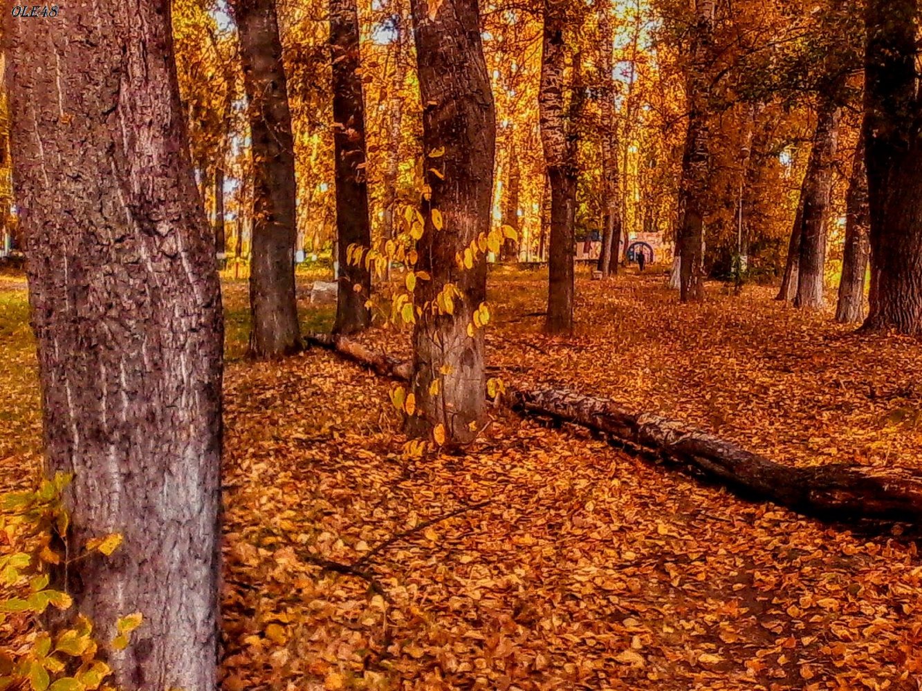 ���� ���� ��. ������, � ������ ��, ��� �� ���� ��������........ ������, �������� �������, �����, ������������� �����, 2