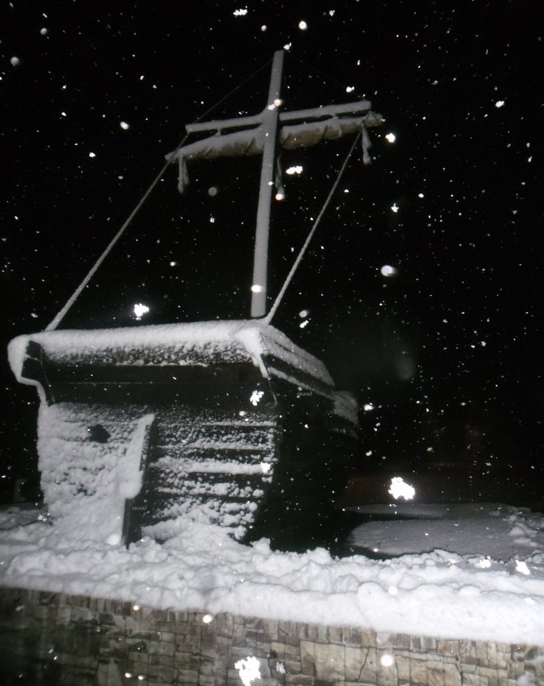 ���� SAM_0451.JPG. ������, �������� �������, �����, ������������� �����, 2