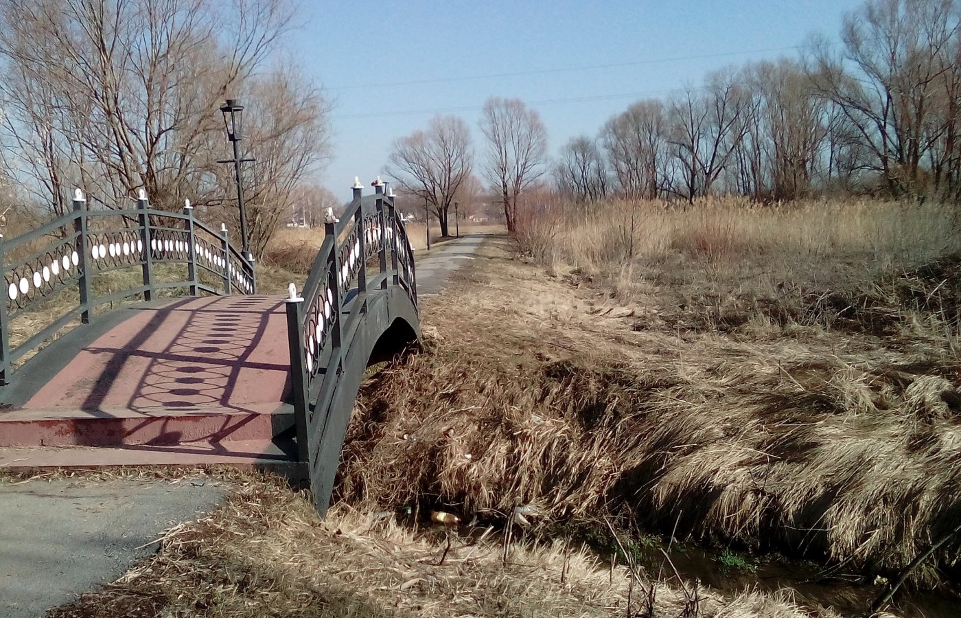 ���� IMG_20160311_094912.jpg. ������, �������� �������, �����, ������������� �����, 2