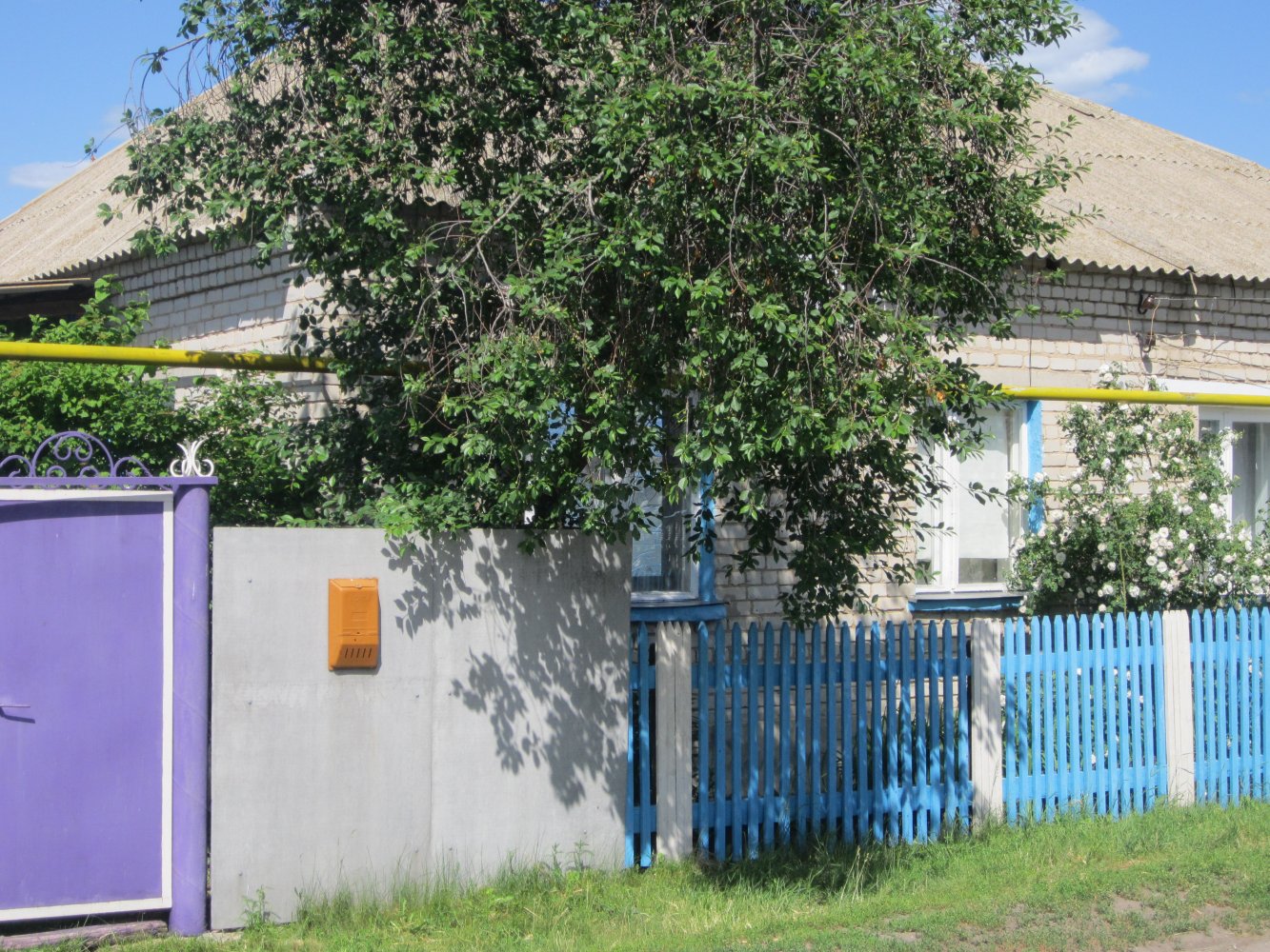  IMG_1648.JPG. ,  , 194