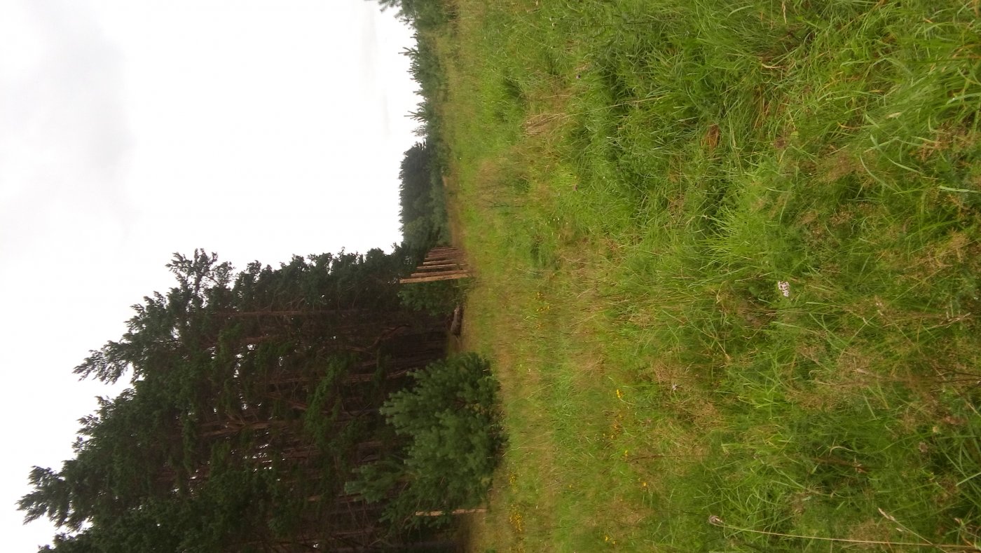 ���� 20160817_155147.jpg. ������, ��������� �������, ��������, 58�-089