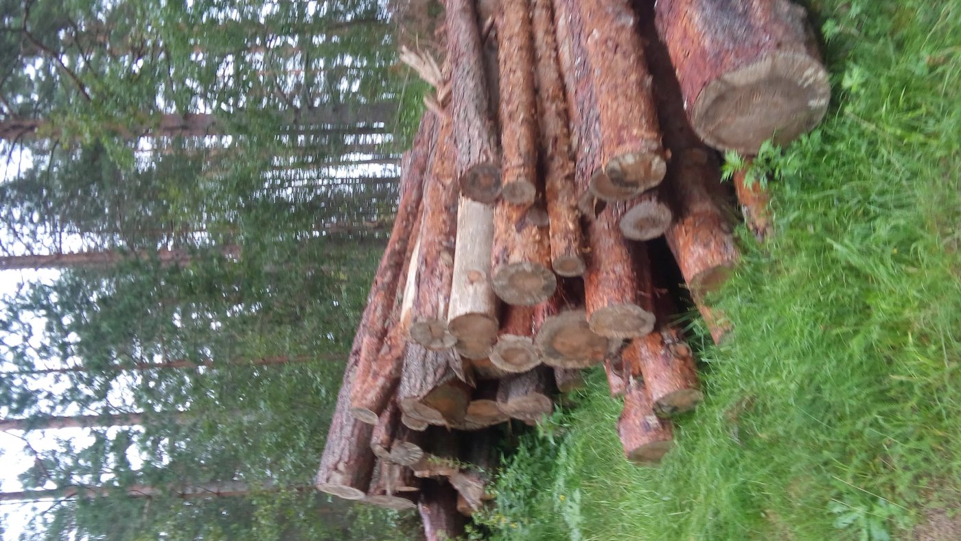 ���� 20160817_155258.jpg. ������, ��������� �������, ��������, 58�-089