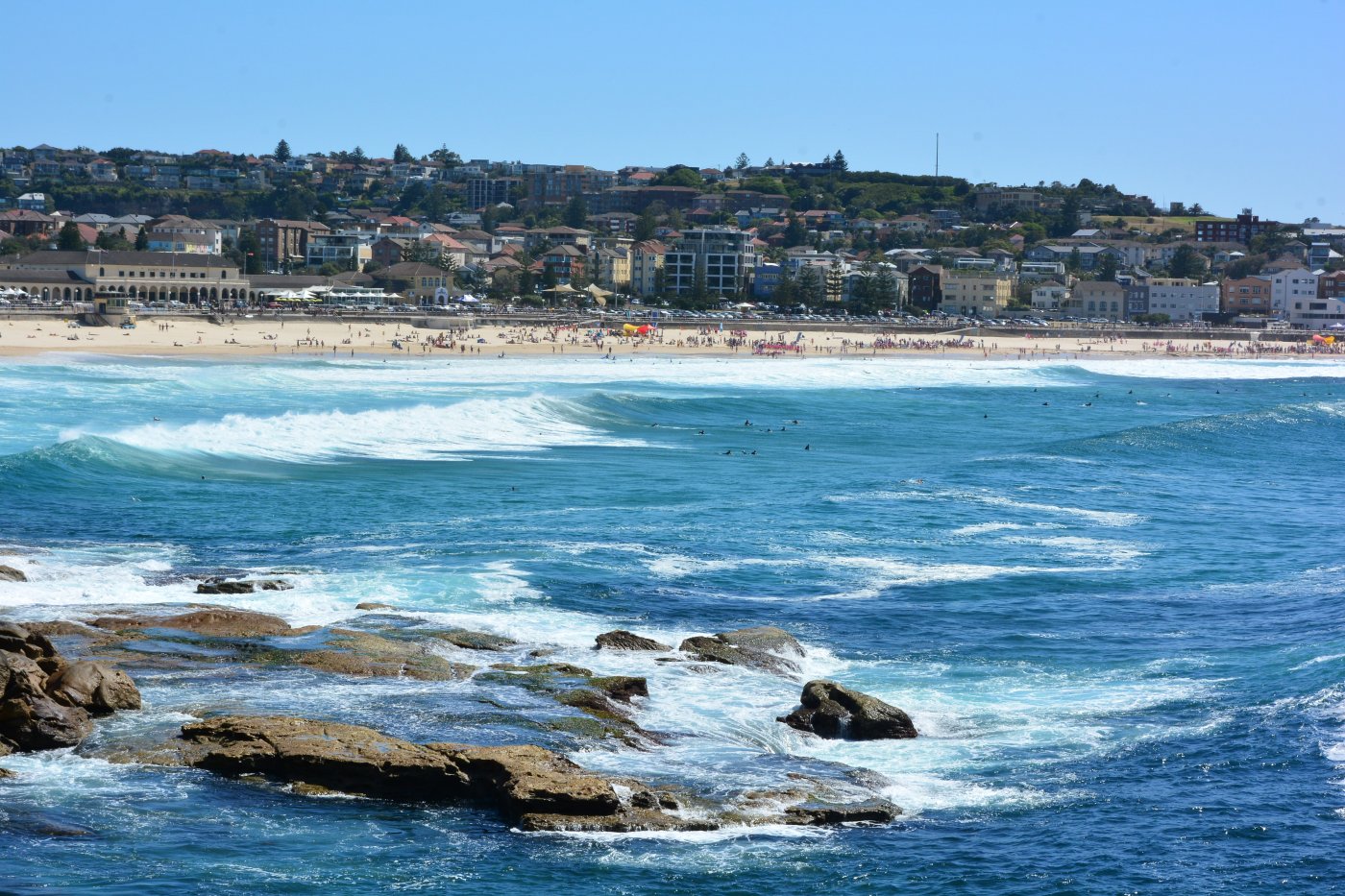  DSC_3130.JPG. , New South Wales, Bondi Beach, Queen Elizabeth Drive