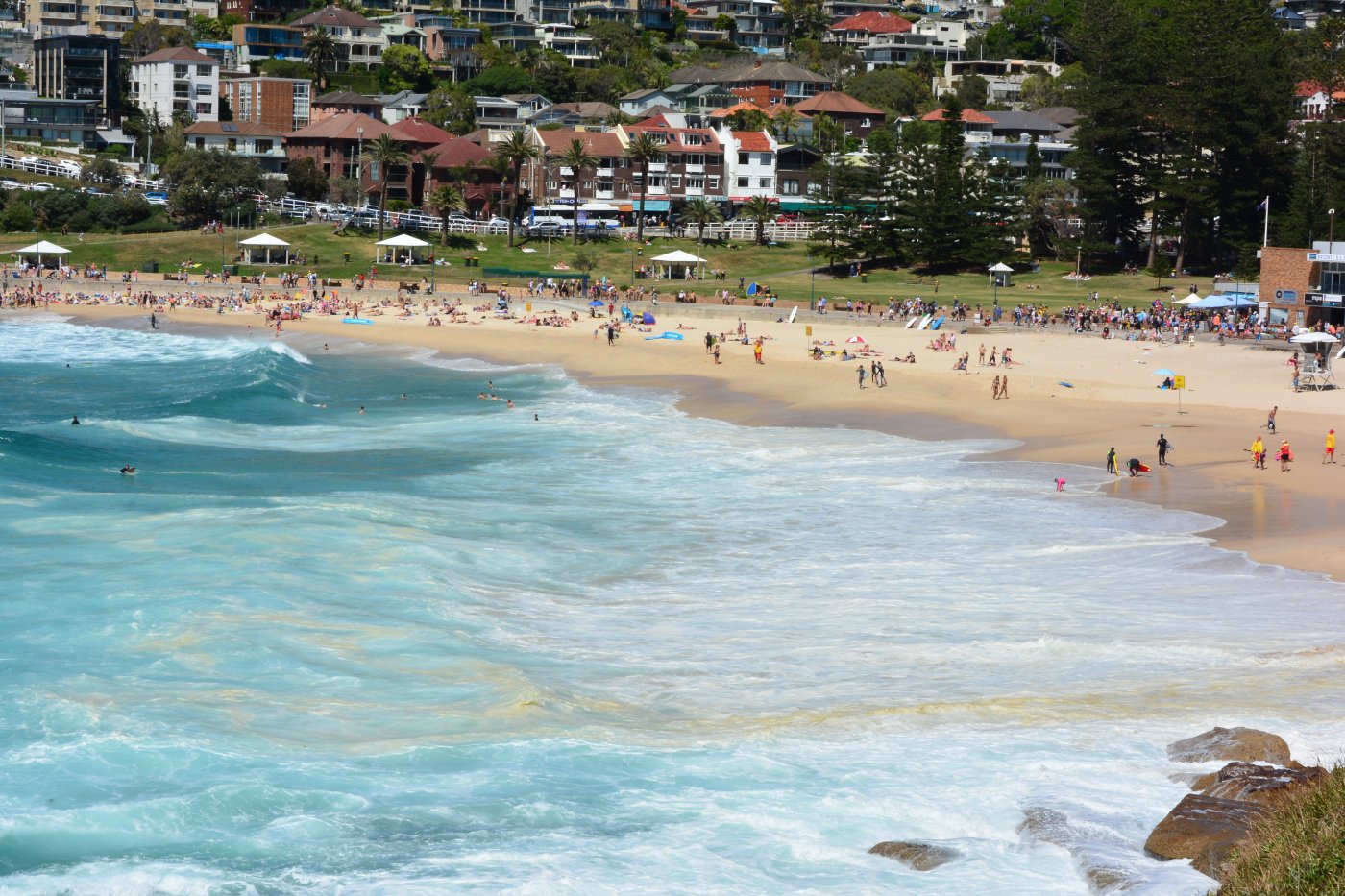  DSC_3212.JPG. , New South Wales, Bronte, Bronte Marine Drive