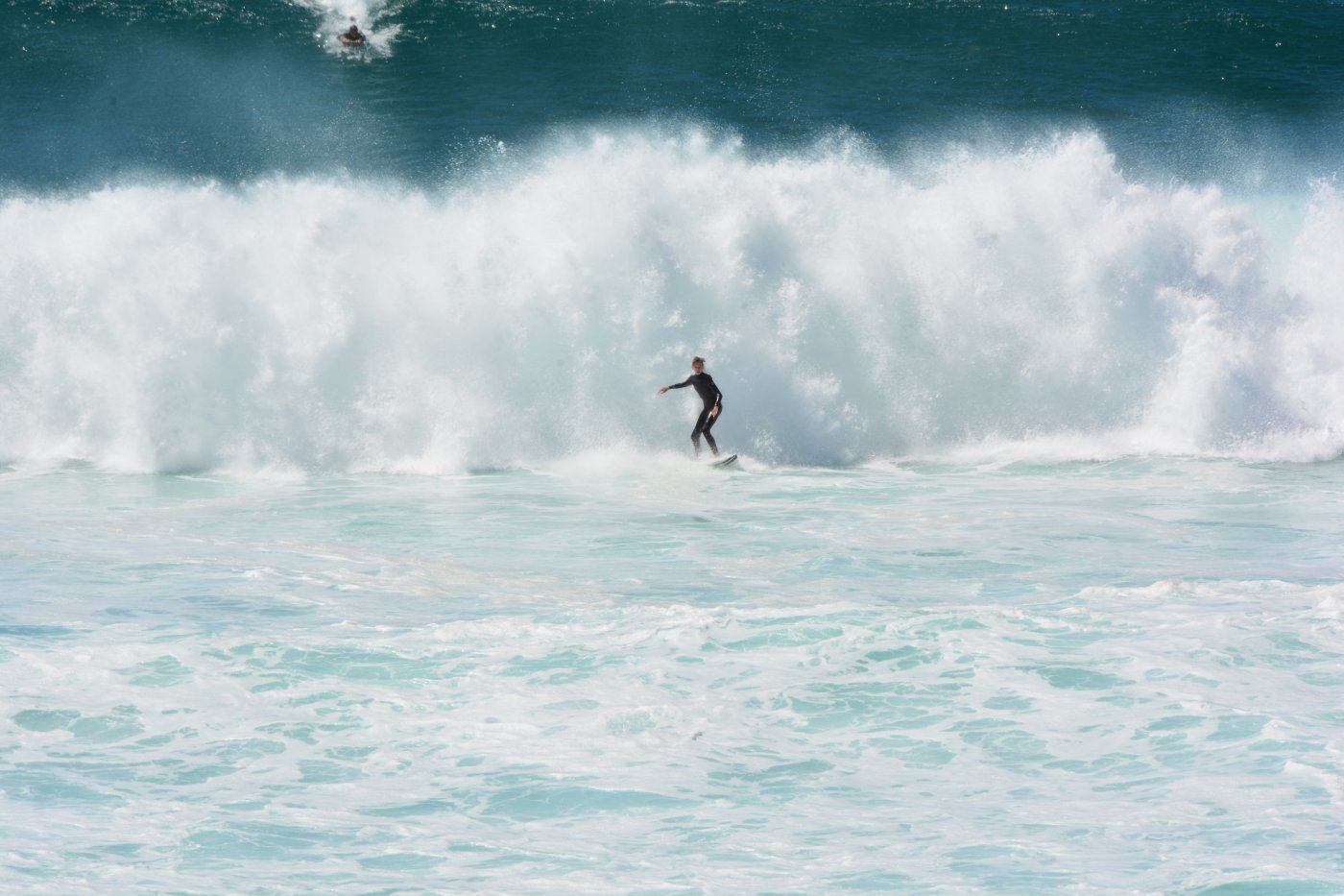  DSC_3218.JPG. , New South Wales, Bronte, Bronte Marine Drive