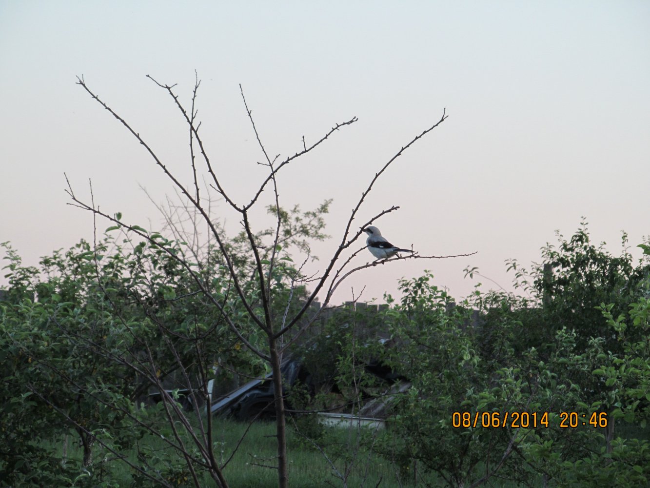  IMG_0614.JPG. ,  ,  , Unnamed Road