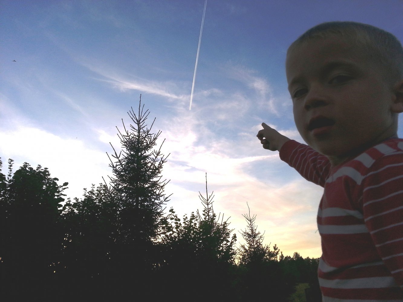 ���� ��� �������.. ������, �������� �������, �����������, �92