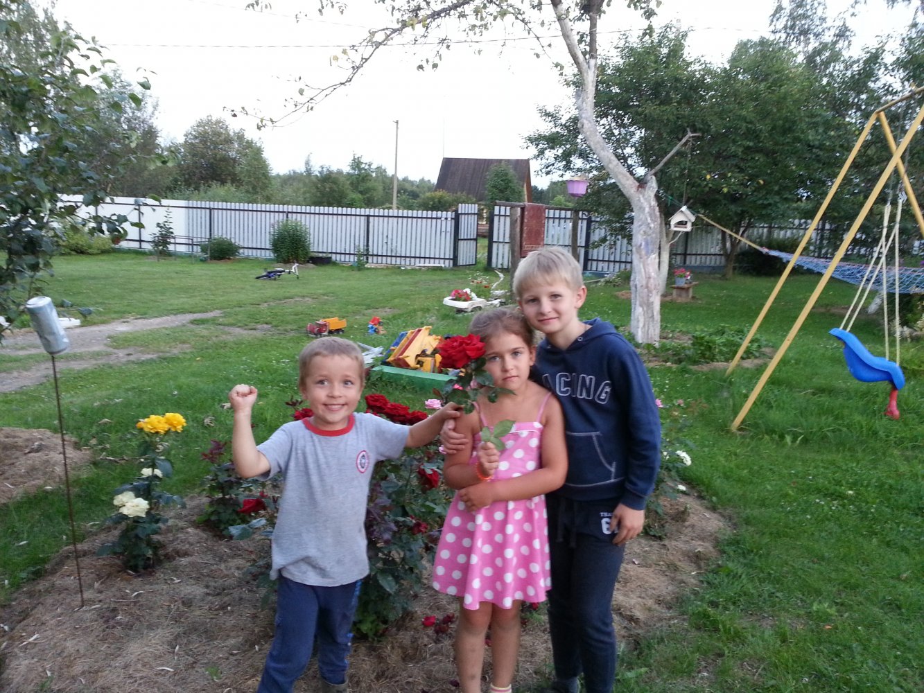 ���� ����Ĩ� ��������� ����������.jpg. ������, �������� �������, �����������, �92