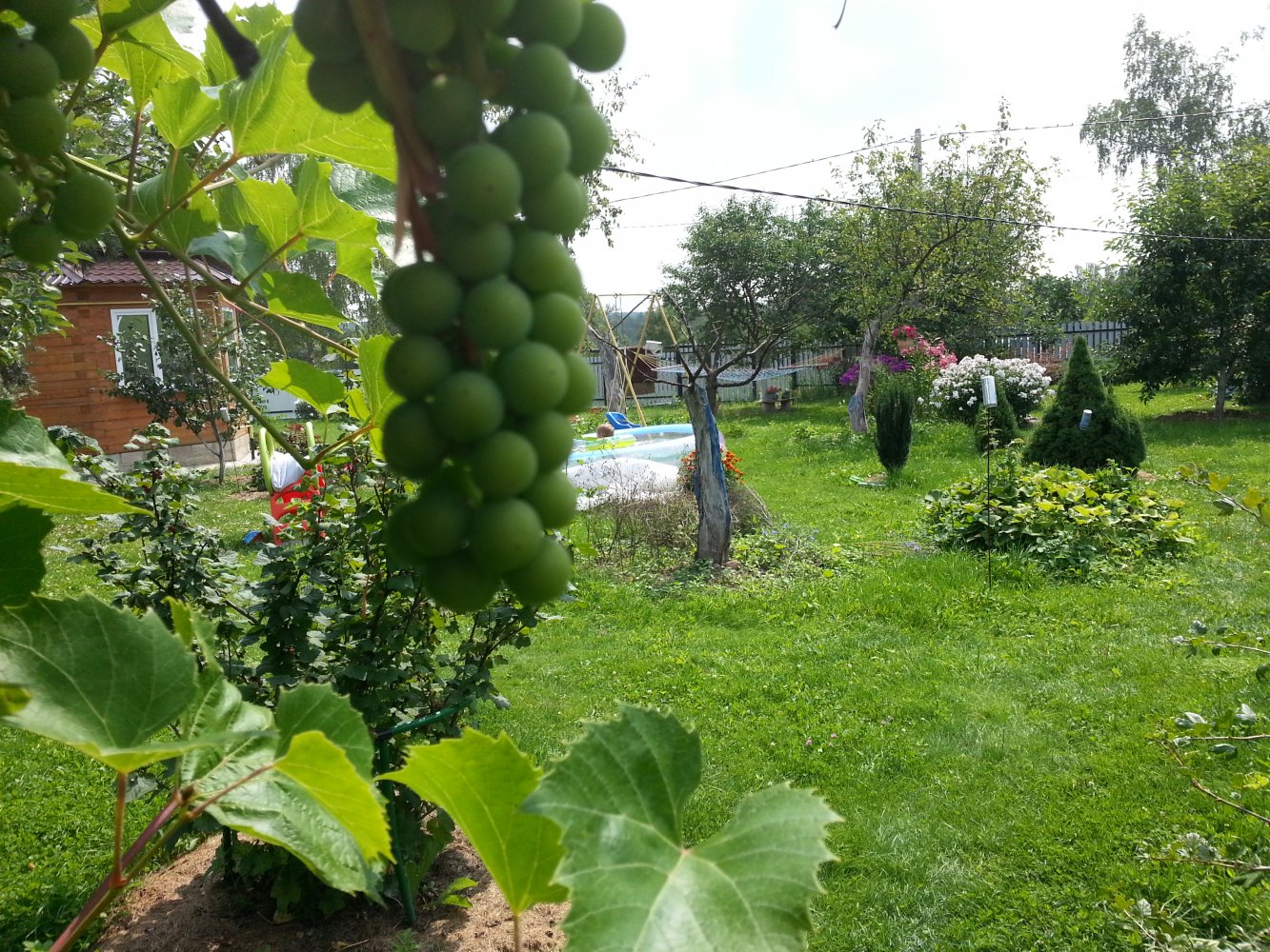 ���� ������������. ������, �������� �������, �����������, �92