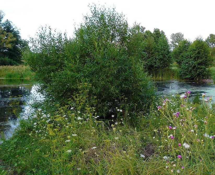 ����  �1. �������, ��������� �������, Unnamed Road