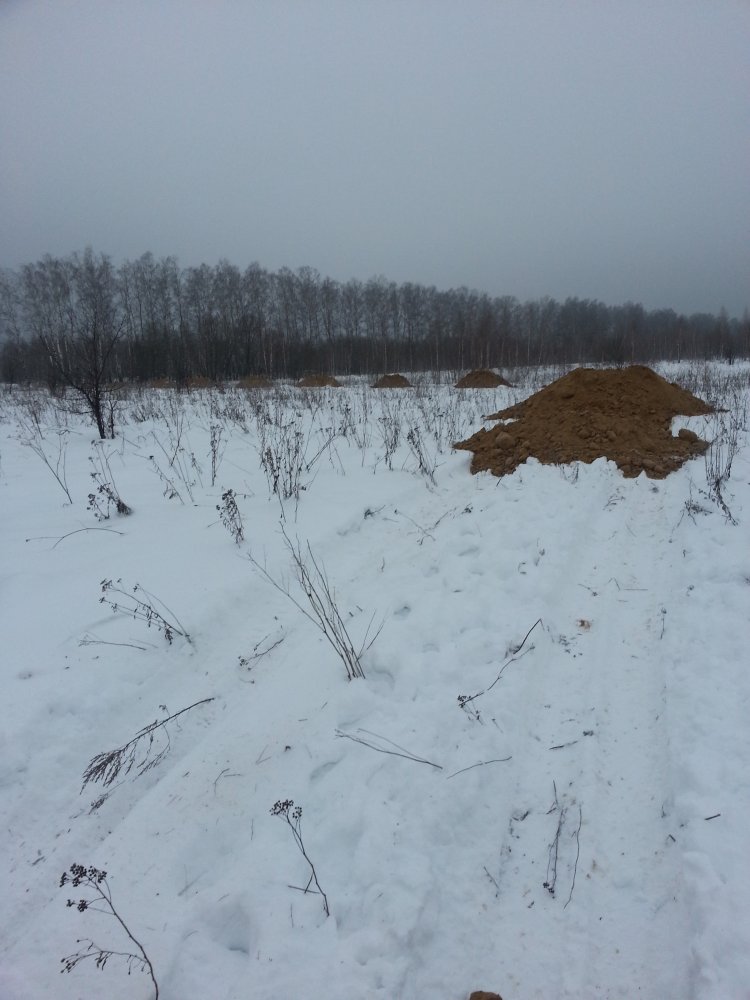 ���� ������ ������� ���...�������� �4 �������.jpg. ������, �������� �������, �����������, �92