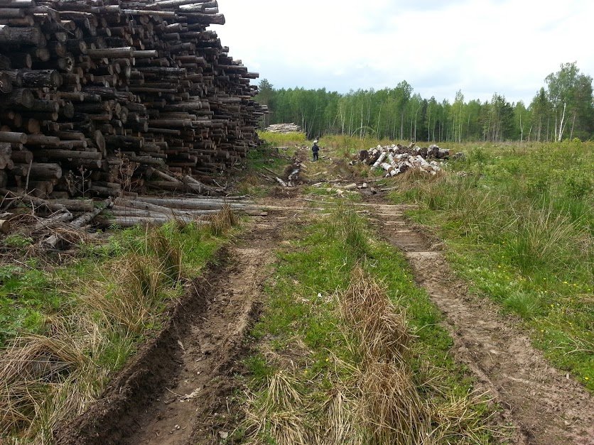 ���� ������� ���.jpg. ������, �������� �������, �����������, �92