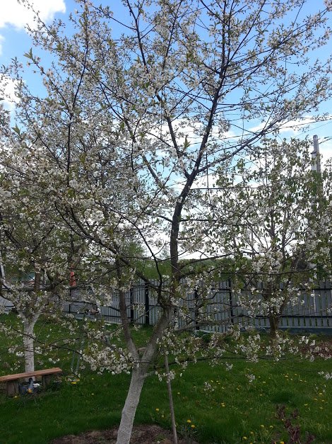 ���� ���� ������������ . ������, �������� �������, �����������, �92