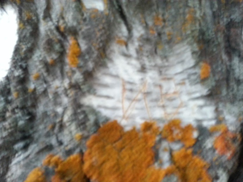 ���� ���� ��Ш��  ������41. ������, �������� �������, �����������, �92