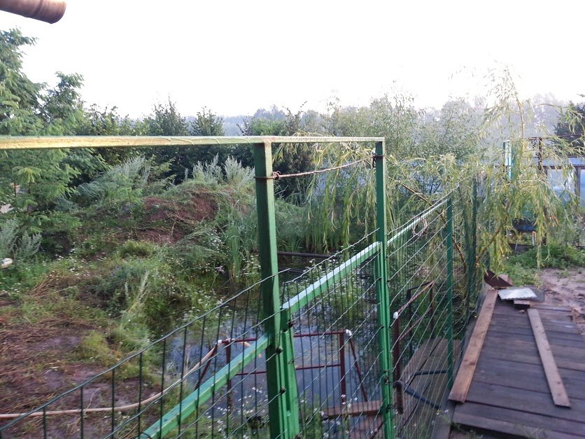 ���� ��� ������..... ������, �������� �������, �����������, �92