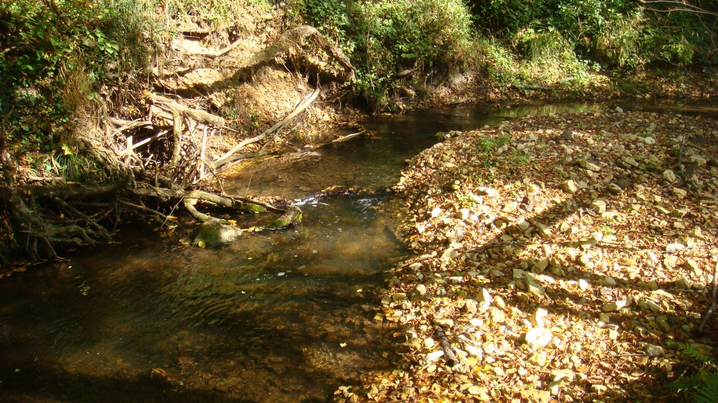 ���� �� ����� �����.������ �� ������... ������, �������� �������, �����������, �92