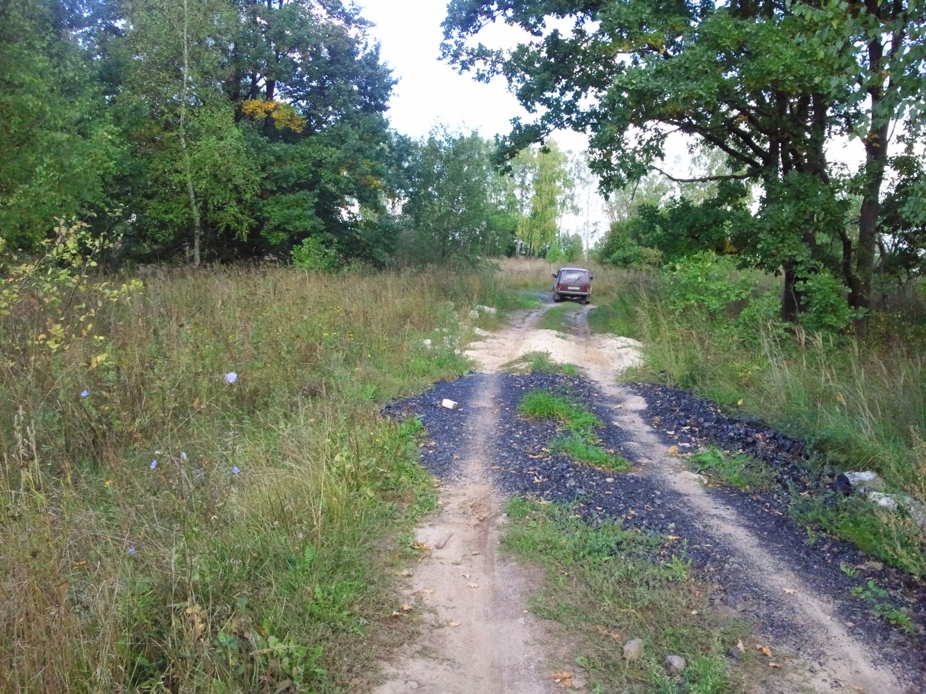 ���� �������� 14 ��� �������� ���� ����� �������.jpg. ������, �������� �������, �����������, �92