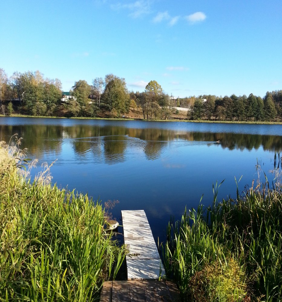 ���� ��������� ���� ������� ���� ��������. ������, �������� �������, �����������, �92