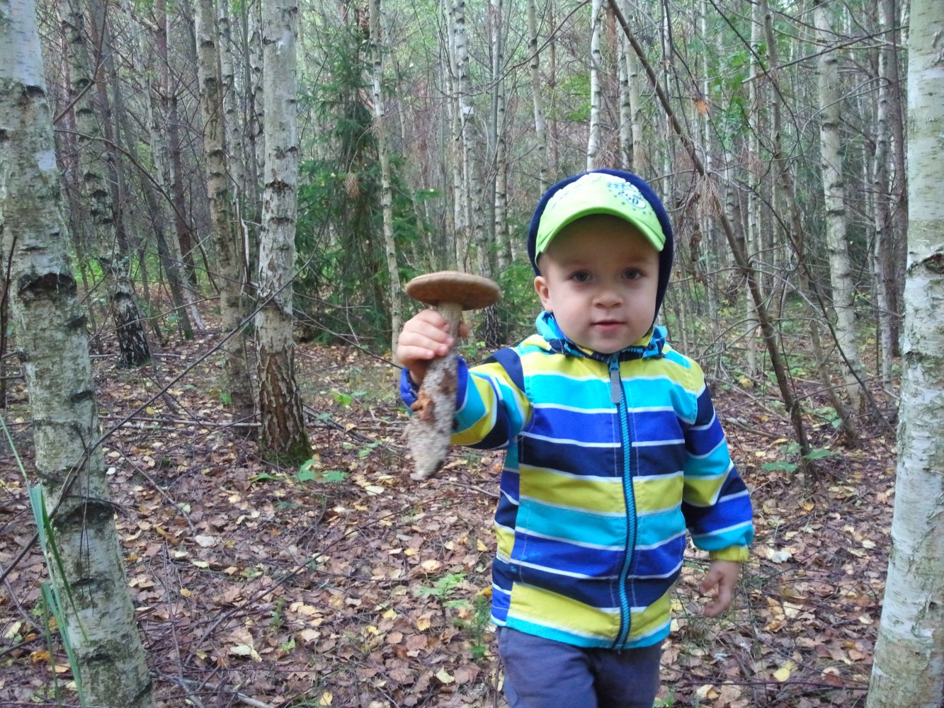 ���� ������ ���� ���� �����... ������, �������� �������, �����������, �92