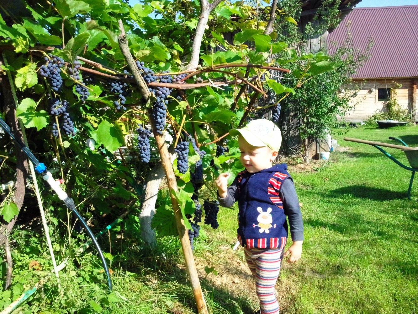 ���� ������� �����������.. ������, �������� �������, �����������, �92