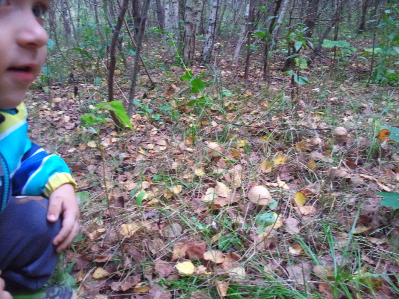 ���� ������ �������.. ������, �������� �������, �����������, �92