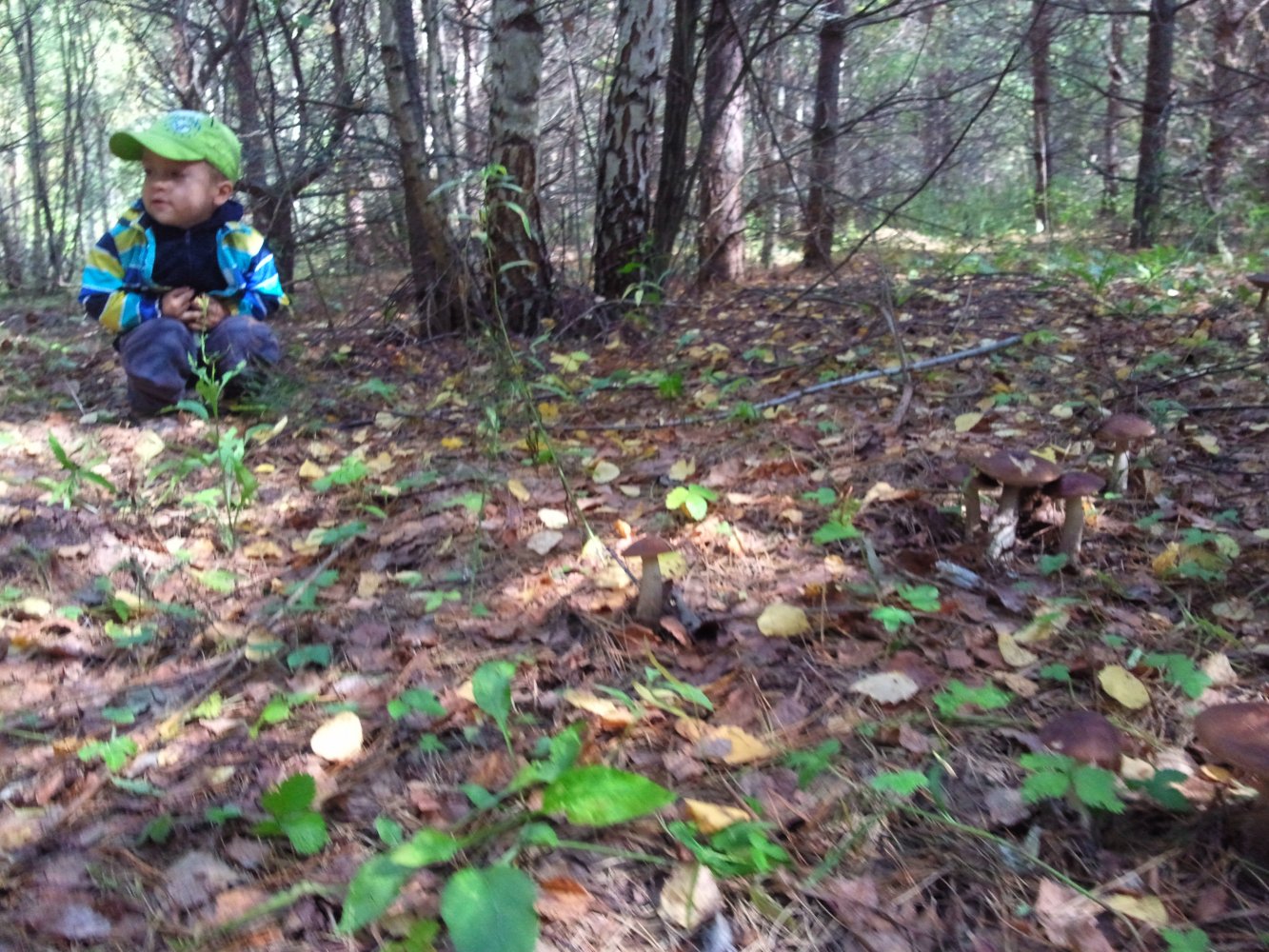 ���� �� ���������� ����.. ������, �������� �������, �����������, �92