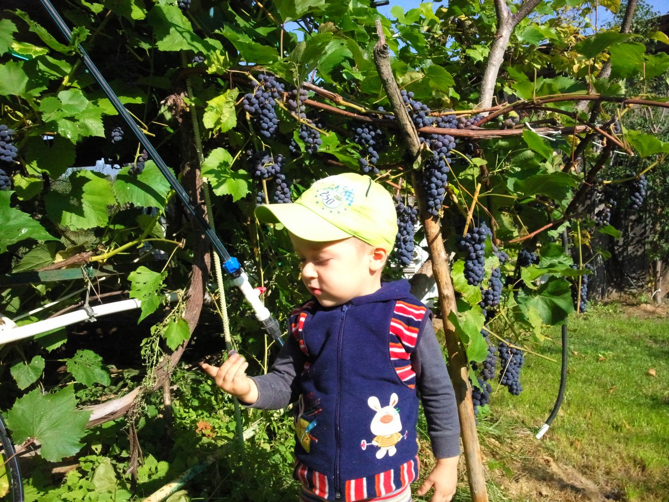 ���� ���Ĩ� �� ���� ���� ����� �����... ������, �������� �������, �����������, �92