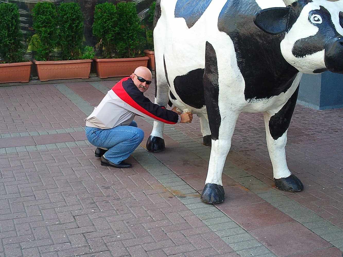 ���� ���� ������������. ������, �������� �������, �����������, �92