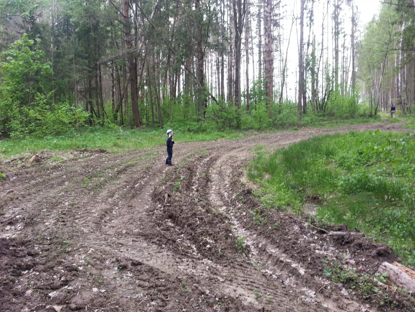 ���� �� �������....2017... ������, �������� �������, �����������, �92