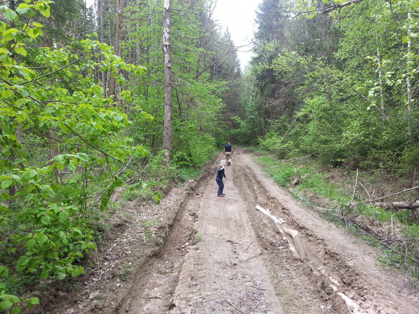 ���� ����� �� �������....2017. ������, �������� �������, �����������, �92