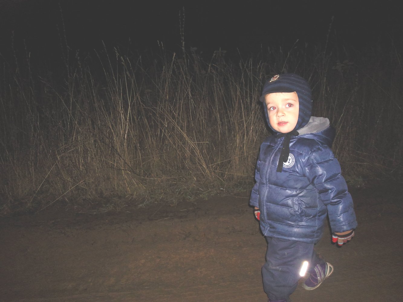 ���� ���Ш� �����.. ������, �������� �������, �����������, �92