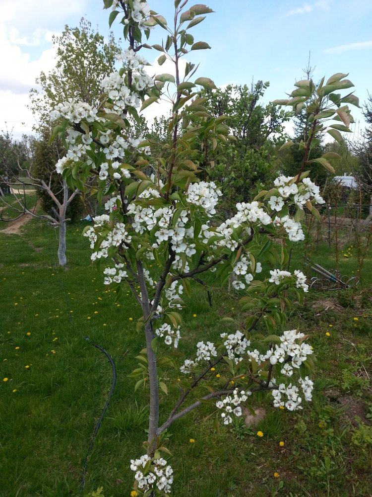 ���� ����� ���Ҩ�.... ������, �������� �������, �����������, �92