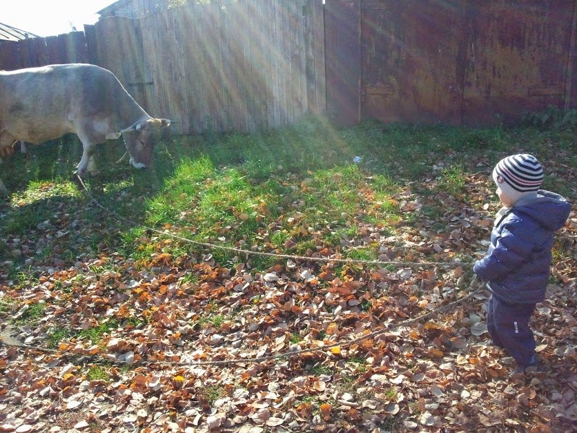 ���� ��� ������...��� ����. ������, �������� �������, �����������, �92