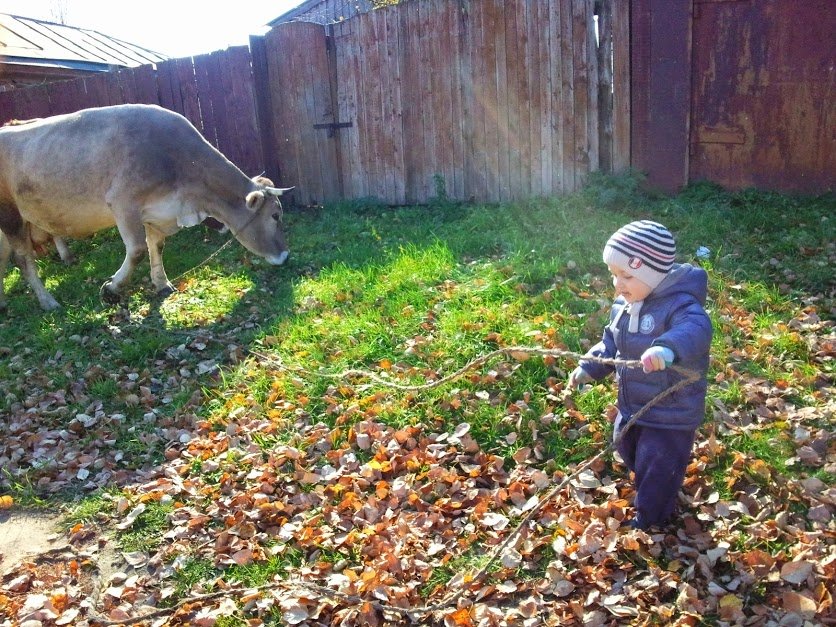 ���� ���� ��� ��� ����.... ������, �������� �������, �����������, �92